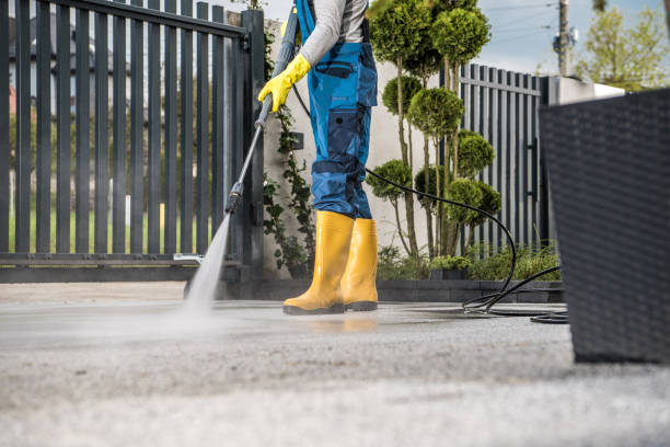 Best Affordable Power Washing  in Gunter, TX