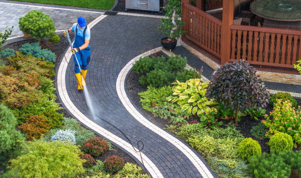  Gunter, TX Pressure Washing Pros